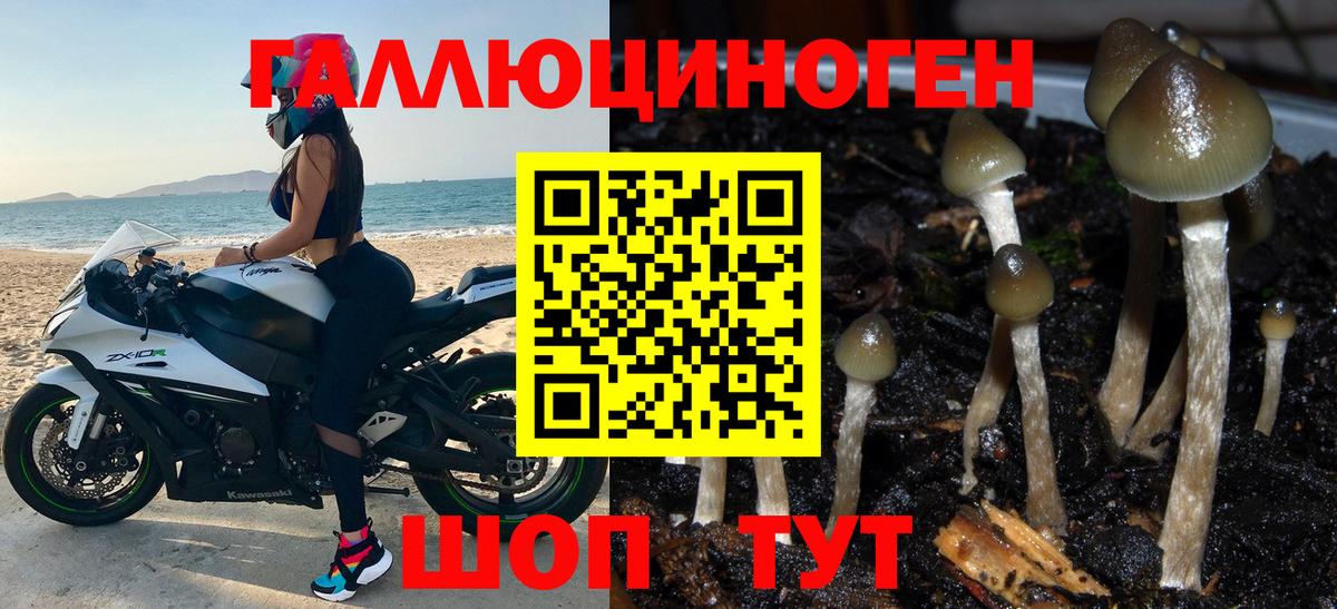 Луховицы  Псилоцибиновые грибы Cubensis  Вход с VPN  где купить   Псилоцибиновые грибы ЛСД 